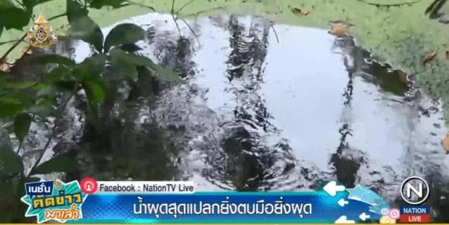 น้ำผุดตรัง....แหล่งท่องเที่ยวใหม่สุดแปลกยิ่งตบมือน้ำยิ่งผุด