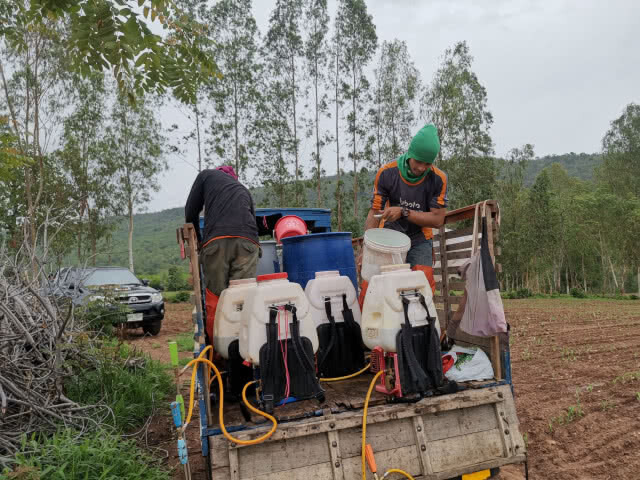 นิทานหลอกเด็ก​ 'เกษตร​อินทรีย์' เมื่อเกษตรกรยังต้องพึ่งพาสารเคมี​ และยังไม่มีสารทดแทน