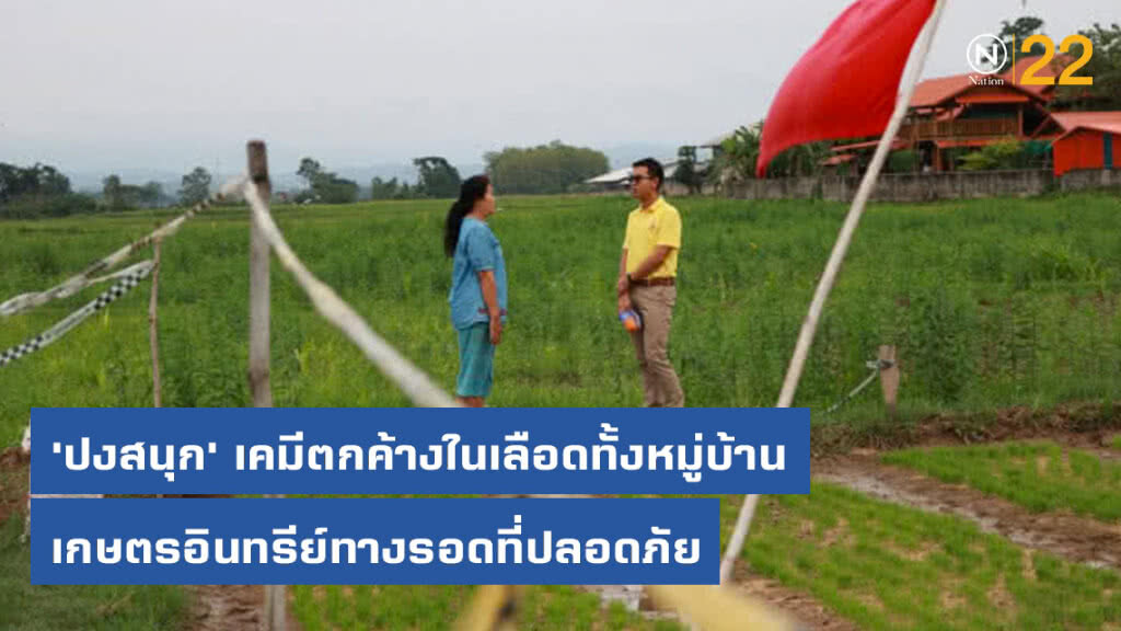 'ปงสนุก'​ เคมีตกค้างในเลือดทั้งหมู่บ้าน​: เกษตรอินทรีย์​ทางรอดที่ปลอดภัย