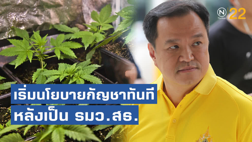 "อนุทิน"เริ่มนโยบายกัญชาทันทีหลังได้เก้าอี้รมว.สธ.