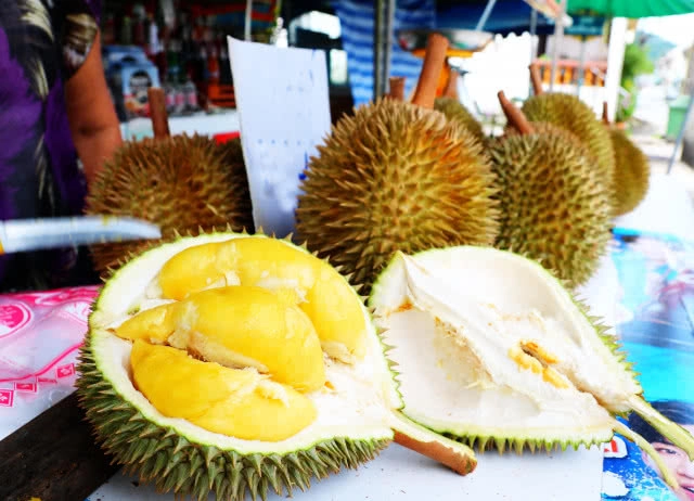 "สาลิกา" สุดยอดทุเรียนเบอร์1ภาคใต้ ออกสู่ตลาดแล้ว...!!