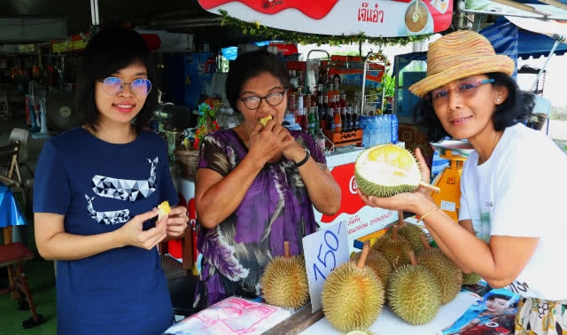 "สาลิกา" สุดยอดทุเรียนเบอร์1ภาคใต้ ออกสู่ตลาดแล้ว...!!