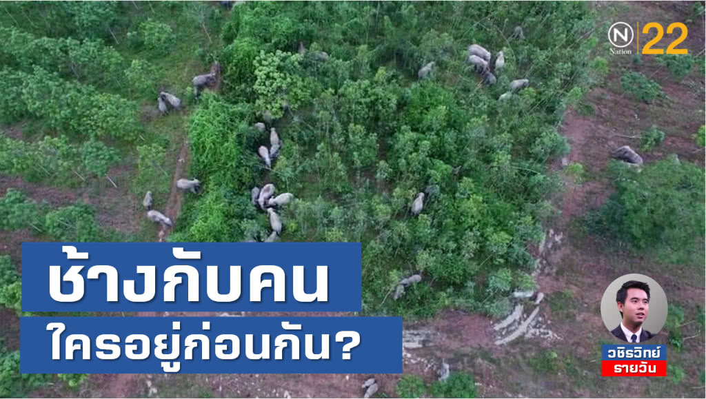 ช้างกับคนใครอยู่ก่อนกัน? ยังใช้เป็นคำถามในแก้ปัญหา​ 'ช้างล้นป่า'​ ได้ไหม