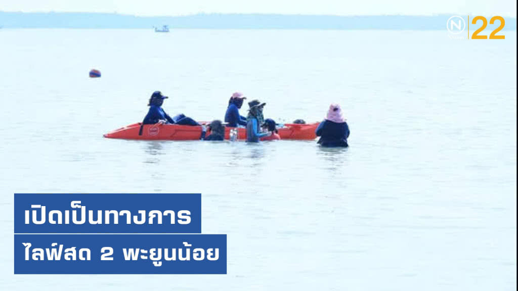 เปิดการไลฟ์สดติดตามเฝ้าระวังพะยูนน้อย​ 2​ ตัว​ ตลอด​ 24​ ชม.​ อย่างเป็นทางการ