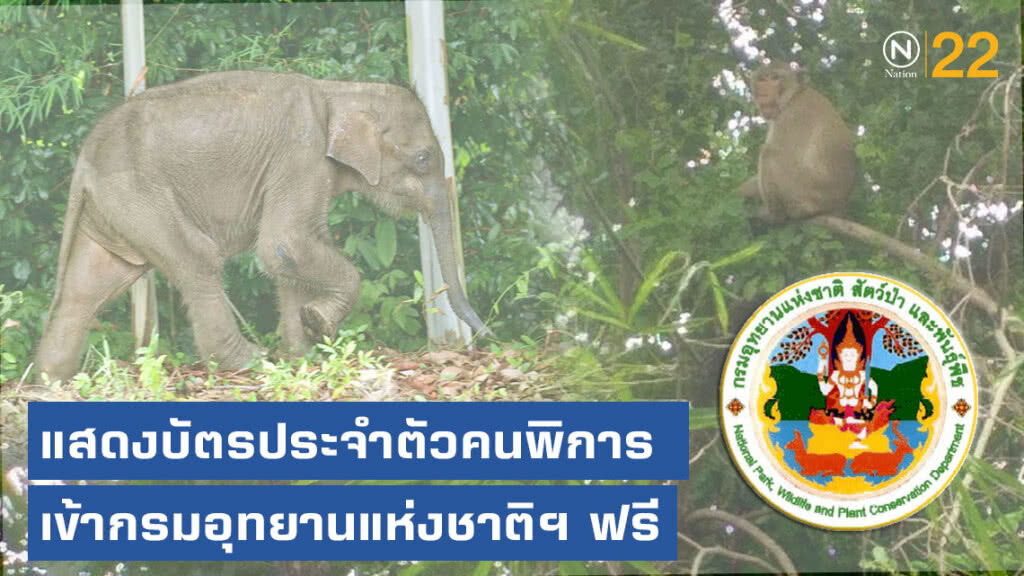 กรมอุทยานแห่งชาติฯ ประกาศ! เว้นค่าบริการสำหรับคนพิการ เข้าฟรี!