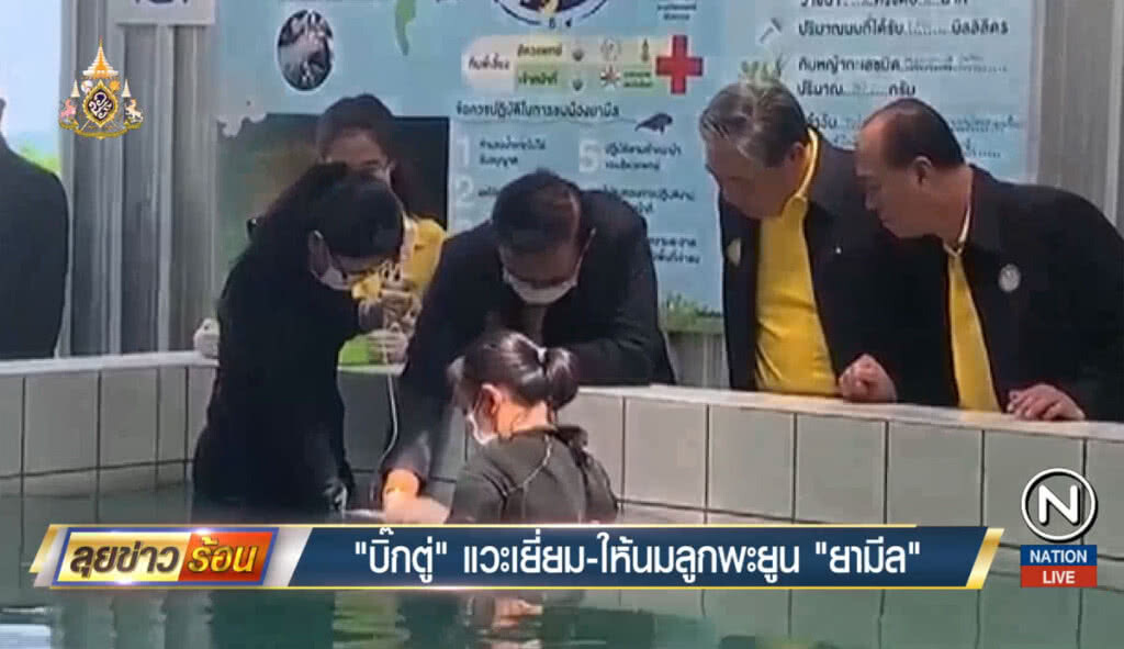 "บิ๊กตู่" แวะเยี่ยม-ให้นมลูกพะยูน "ยามีล" "บิ๊กตู่" แวะเยี่ยม-ให้นมลูกพะยูน "ยามีล"