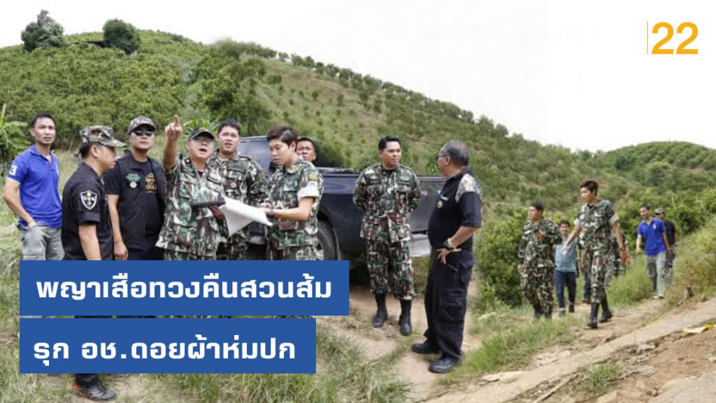 พญาเสือทวงคืนสวนส้มรุกอช.ดอยผ้าห่มปก