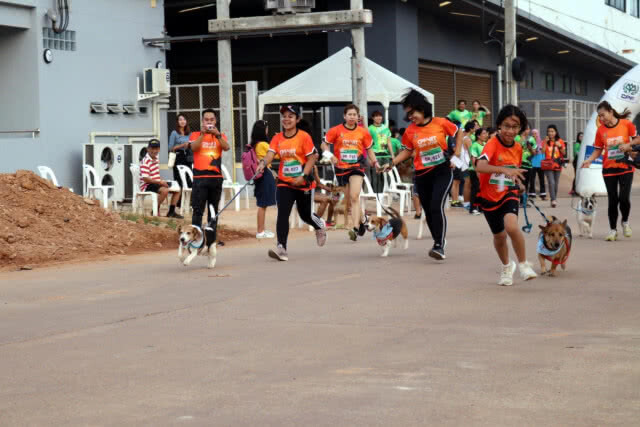 1,500 คน  ร่วมวิ่งการกุศล CPF-VET HATYAI RUN FOR CHARITY