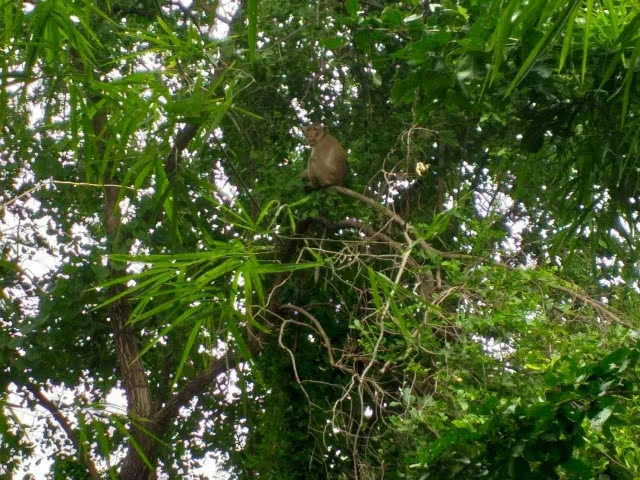 กรมอุทยานแห่งชาติฯ ประกาศ! เว้นค่าบริการสำหรับคนพิการ เข้าฟรี!