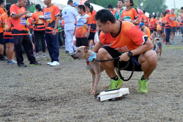 1,500 คน  ร่วมวิ่งการกุศล CPF-VET HATYAI RUN FOR CHARITY