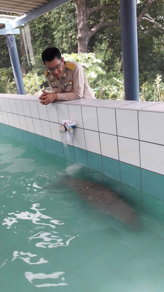 นายกรัฐมนตรี แวะเยี่ยม พะยูนน้อย "ยามีล" ที่ศูนย์วิจัยฯ อันดามัน