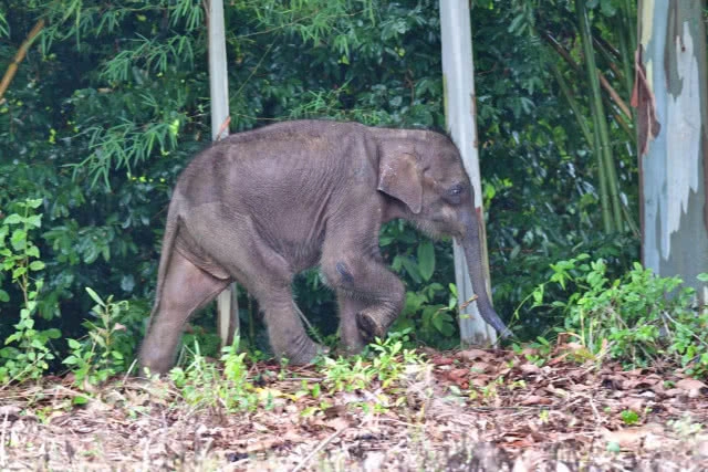 กรมอุทยานแห่งชาติฯ ประกาศ! เว้นค่าบริการสำหรับคนพิการ เข้าฟรี!