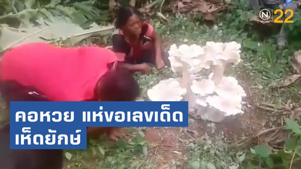 คอหวย แห่ขอเลขเด็ดเห็ดยักษ์