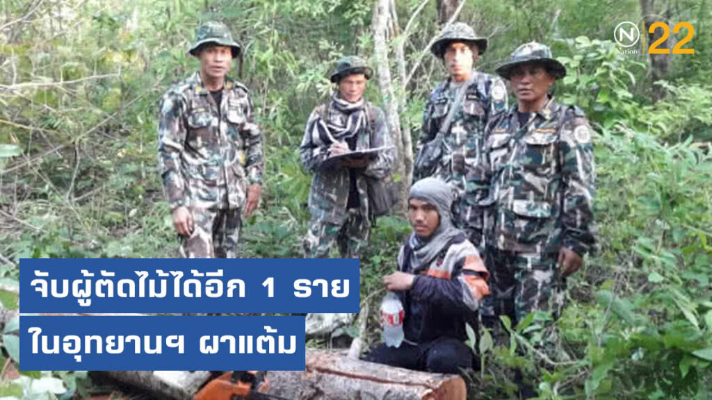 ไล่ล่าขบวนการตัดไม้ในอุทยานฯ ผาแต้ม ไล่ล่าขบวนการตัดไม้ในอุทยานฯ ผาแต้ม