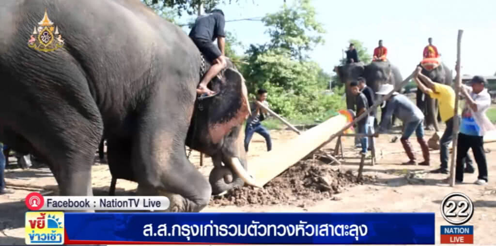 ส.ส.กรุงเก่ารวมตัวทวง "หัวเสาตะลุง" เพนียดคล้องช้าง