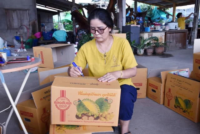 ทุเรียนหลง-หลินลับแลฮอตต่อเนื่อง!! ดันยอดทะลุวันละครึ่งตัน