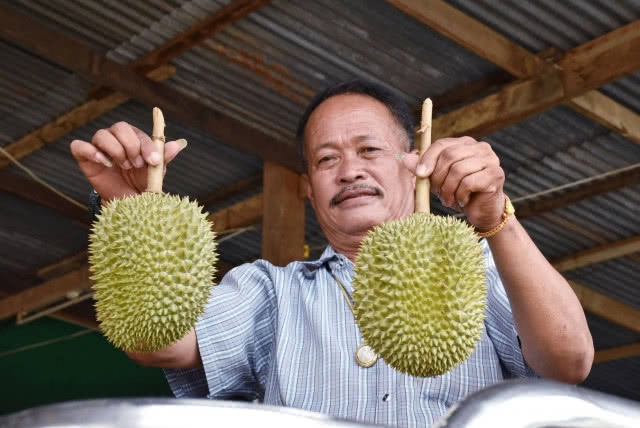 ทุเรียนหลง-หลินลับแลฮอตต่อเนื่อง!! ดันยอดทะลุวันละครึ่งตัน