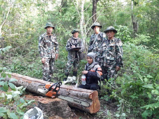 ไล่ล่าขบวนการตัดไม้ในอุทยานฯ ผาแต้ม