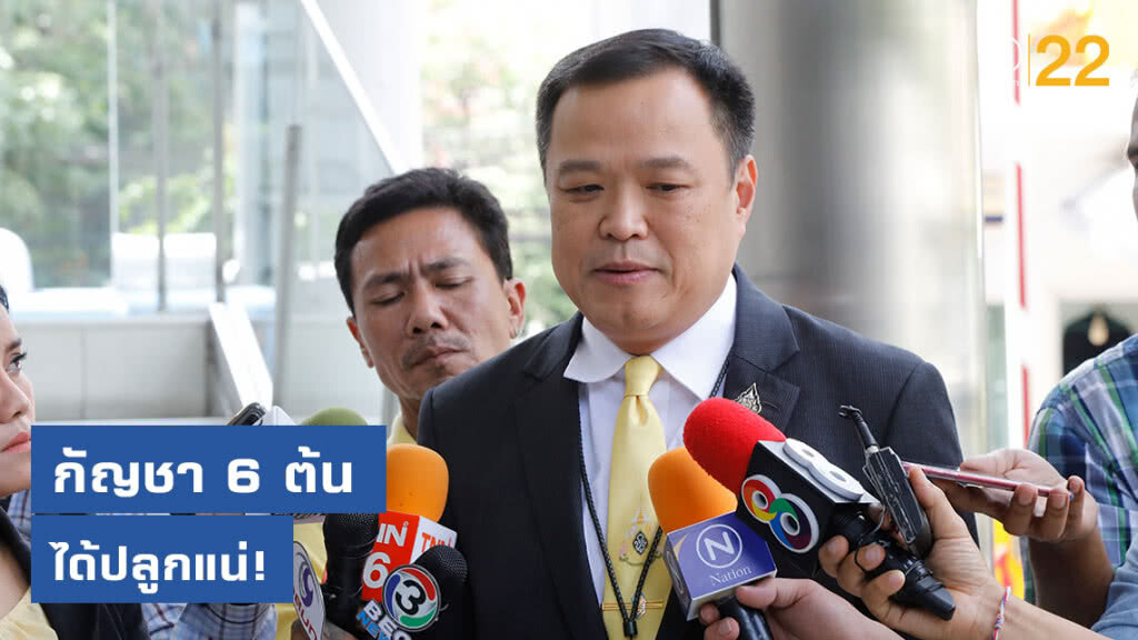 "อนุทิน" ลั่น! ชาวบ้านได้ปลูกกัญชา 6 ต้นแน่ "อนุทิน" ลั่น! ชาวบ้านได้ปลูกกัญชา 6 ต้นแน่