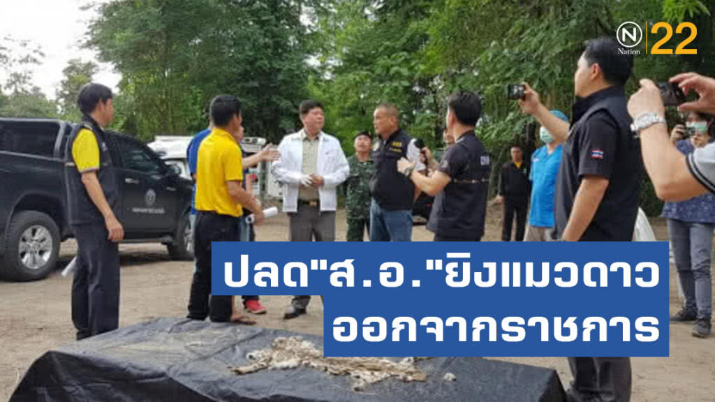 ลงโทษปลด"ส.อ."ยิงแมวดาว ออกจากราชการ ลงโทษปลด"ส.อ."ยิงแมวดาว ออกจากราชการ