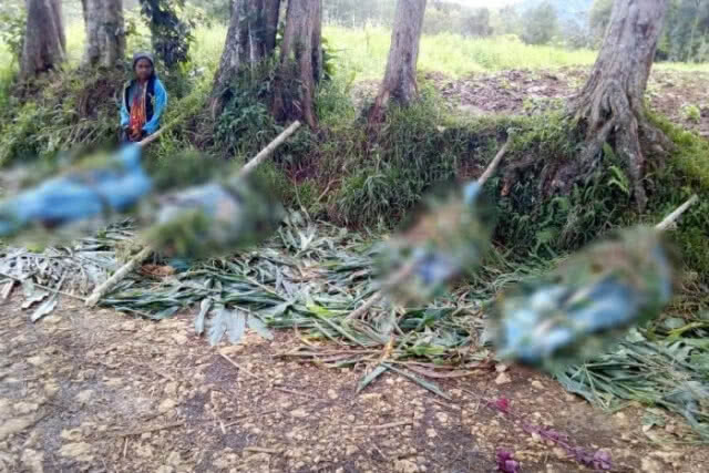 สลด สังหารหมู่ชนพื้นเมืองในปาปัวนิวกีนี