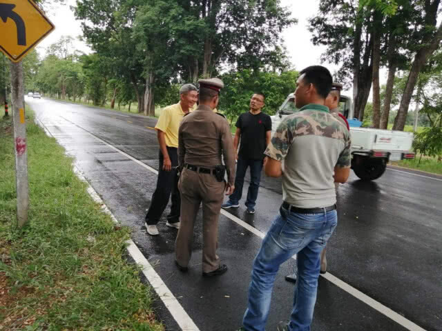 เร่งสอบซาก​ 'แมวดาว'​ ถูกรถชนใน ม.ขอนแก่น 