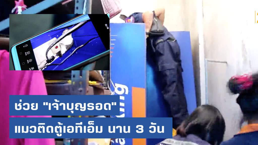 ช่วย "เจ้าบุญรอด" แมวติดตู้เอทีเอ็ม นาน 3 วัน