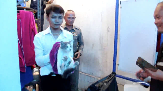 ช่วย "เจ้าบุญรอด" แมวติดตู้เอทีเอ็ม นาน 3 วัน