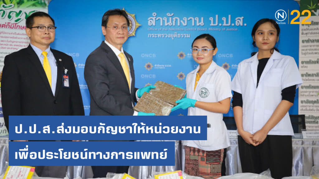 ป.ป.ส.ส่งมอบกัญชาให้หน่วยงานเพื่อประโยชน์ทางการแพทย์