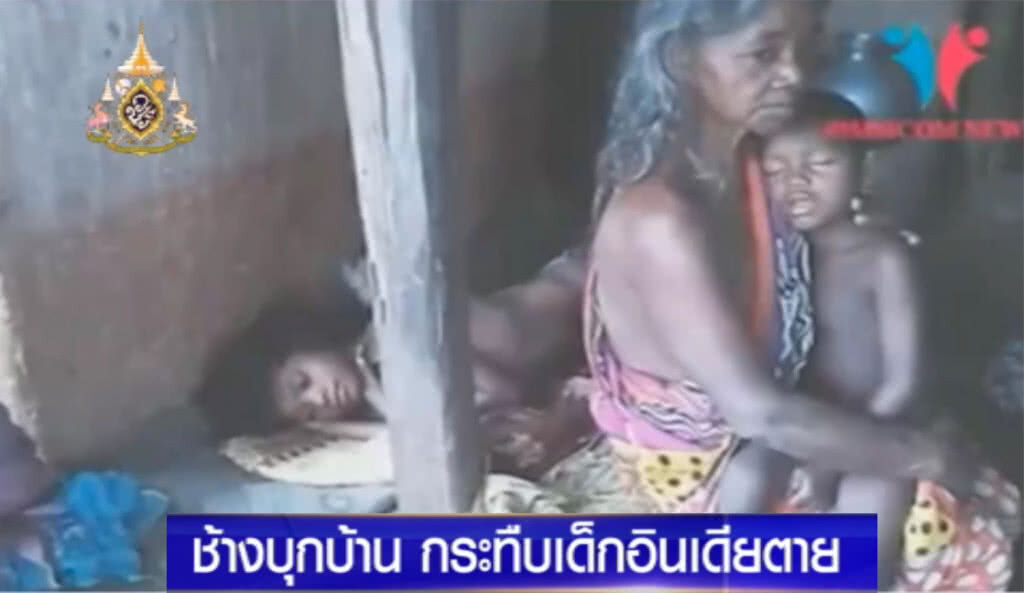สุดสลด!....ช้างบุกบ้านในอินเดีย ก่อนใช้งวงจับเด็ก แล้วลากไปกระทืบเสียชีวิต สุดสลด!....ช้างบุกบ้านในอินเดีย ก่อนใช้งวงจับเด็ก แล้วลากไปกระทืบเสียชีวิต