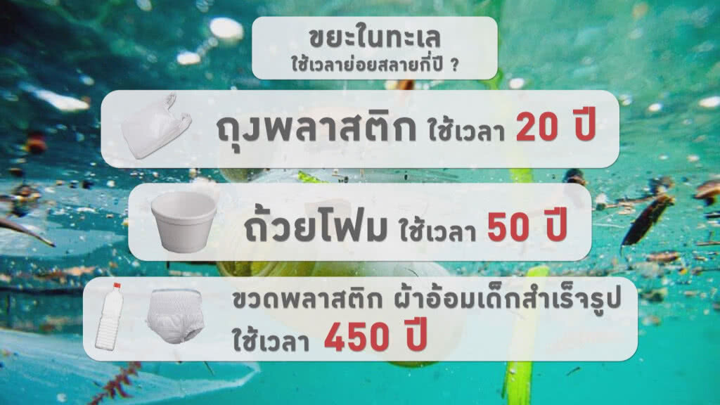 ปัญหาขยะถูกทิ้งลงทะเล ร่วมช่วยกันรักษาสิ่งแวดล้อม ปัญหาขยะถูกทิ้งลงทะเล ร่วมช่วยกันรักษาสิ่งแวดล้อม