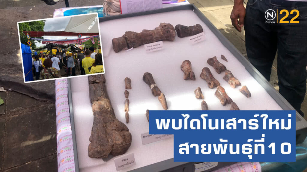 ค้นพบไดโนเสาร์ใหม่สายพันธุ์ที่10 ของไทย