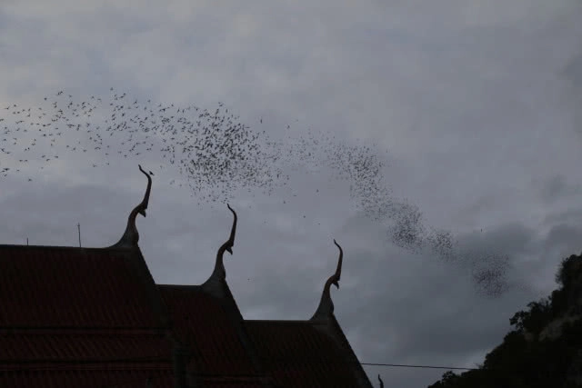 "วัดเขาวงษ์" ที่แห่งนี้มีตำนานนับพันปี