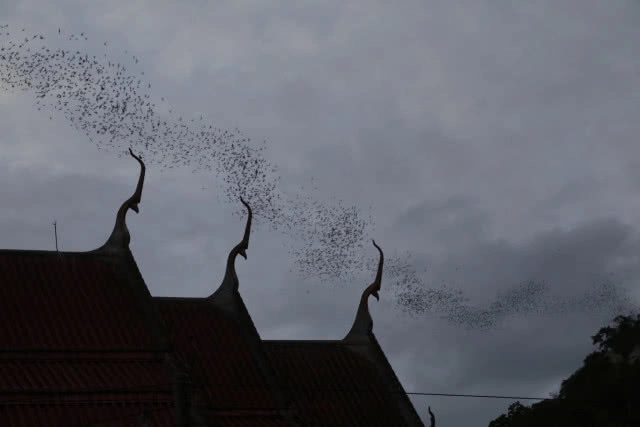 "วัดเขาวงษ์" ที่แห่งนี้มีตำนานนับพันปี