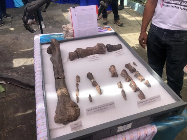 ค้นพบไดโนเสาร์ใหม่สายพันธุ์ที่10 ของไทย