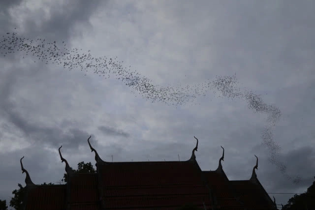 "วัดเขาวงษ์" ที่แห่งนี้มีตำนานนับพันปี