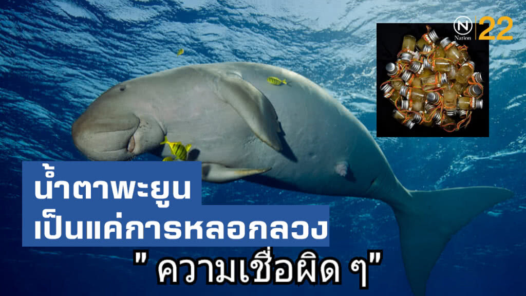 อุทยานฯชี้การโพสต์ขายน้ำตาพะยูนเป็นแค่การหลอกลวงโหนกระแส
