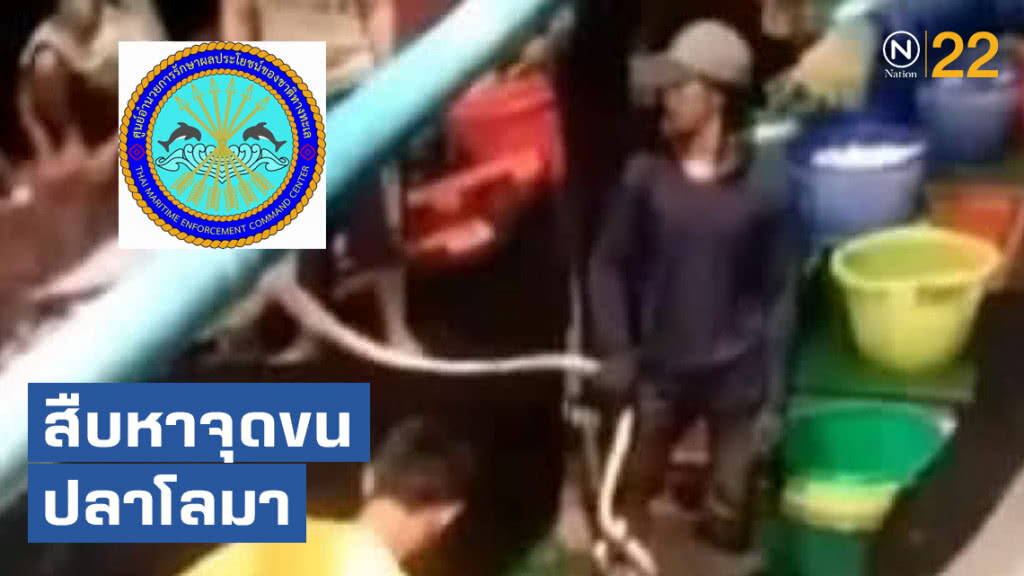 ศรชล. กำลังสืบหาจุดขนปลาโลมาว่าอยู่ในอาณาเขตทะเลไทยหรือไม่