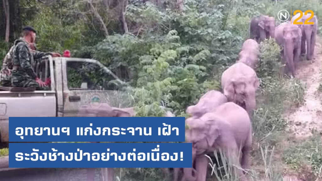อุทยานแห่งชาติแก่งกระจาน จัดเจ้าหน้าที่ เฝ้าผลักดัน และระวังช้างป่าอย่างต่อเนื่อง!!