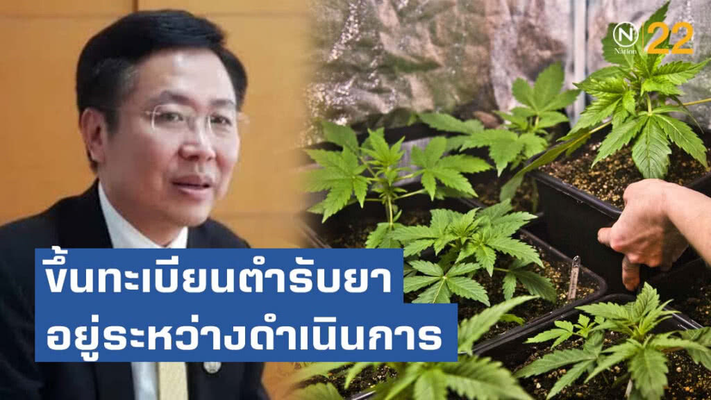 อย. แจงขึ้นทะเบียนตำรับยาน้ำมันกัญชา อ.เดชา อยู่ระหว่างดำเนินการ​ ยันไม่ได้เตะถ่วง