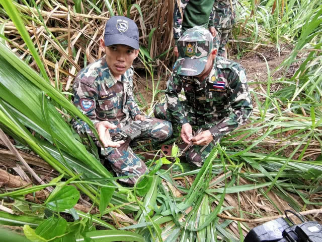 เศร้า! ตัวเหี้ยแก่งกระจาน​ กินไข่จระเข้น้ำจืดพันธุ์​ไทย ​เหลือ​ใบเดียว​