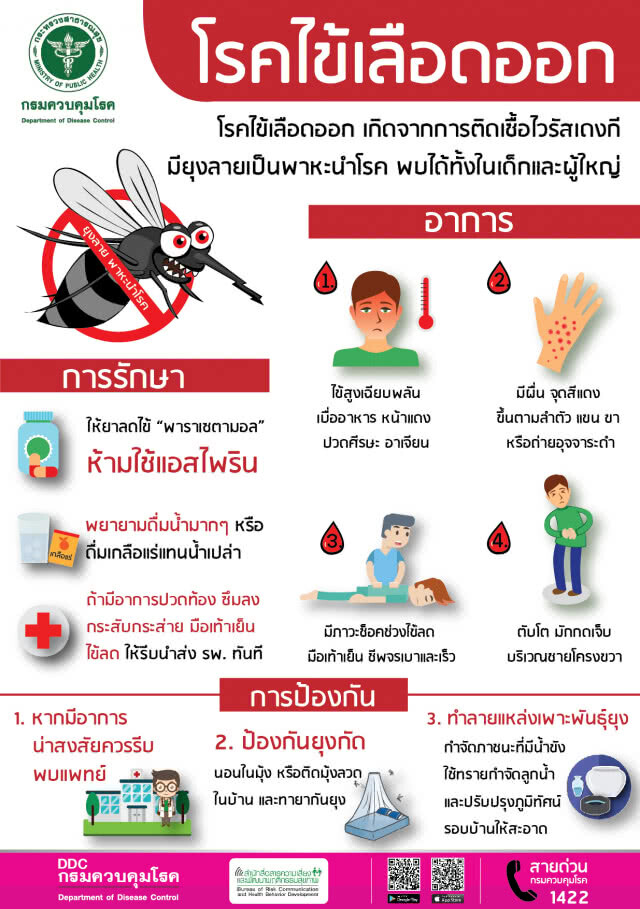 กรมควบคุมโรค ชี้สถานการณ์​โรคไข้เลือดออกชะลอตัว แต่ยังต้องดำเนินการเข้มข้น  