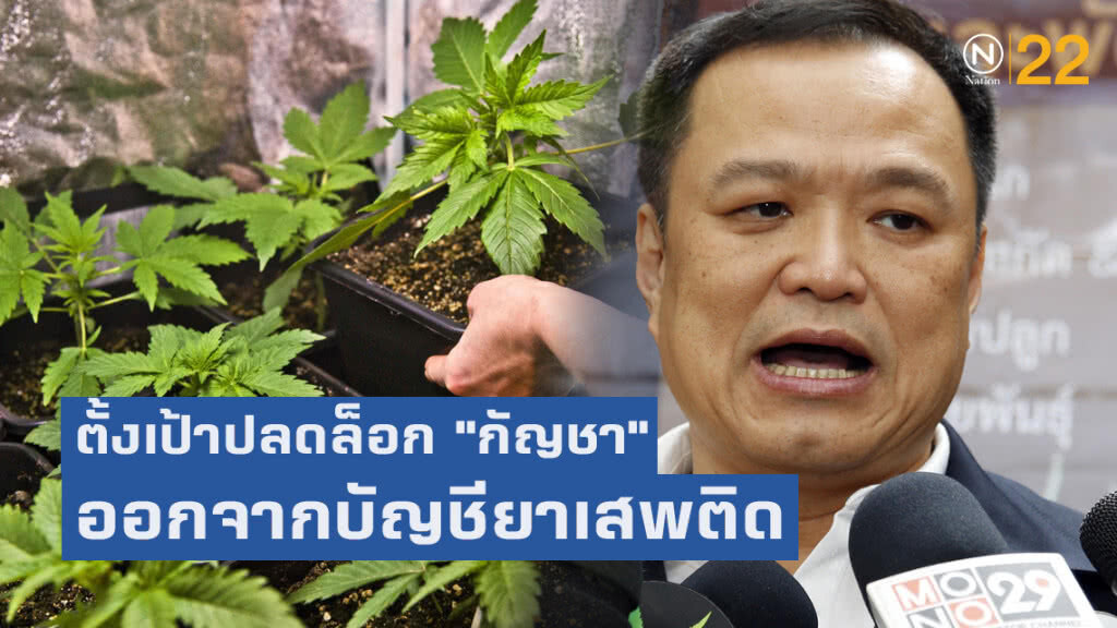 อนุทิน' ตั้งเป้าปลดล็อก​ 'กัญชา'​ ออกจากบัญชียาเสพติด​ เร็วที่สุด