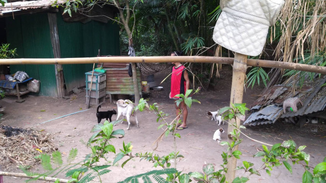 หมา 4 ตัว รุมขย้ำหนูน้อยวัยขวบเศษ ชาวบ้านเข้าช่วยไว้ได้ทัน เย็บไป 15 เข็ม