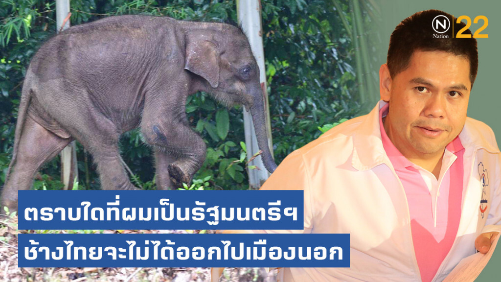 "วราวุธ" พบเอ็นจีโอ ยันไม่มีการส่งออกช้างไทย