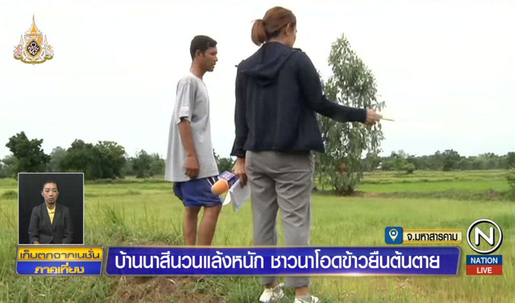 บ้านนาสีนวนแล้งหนัก ชาวนาโอดข้าวยืนต้นตาย บ้านนาสีนวนแล้งหนัก ชาวนาโอดข้าวยืนต้นตาย