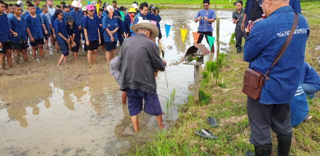 สืบสานต่อยอด ลงแขกดำนาปลูกข้าว
