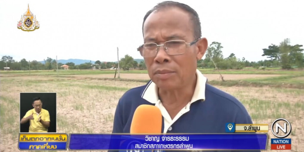 ลำพูนอ่วม!....นาข้าวนับหมื่นไร่รอยืนต้นตาย ลำพูนอ่วม!....นาข้าวนับหมื่นไร่รอยืนต้นตาย