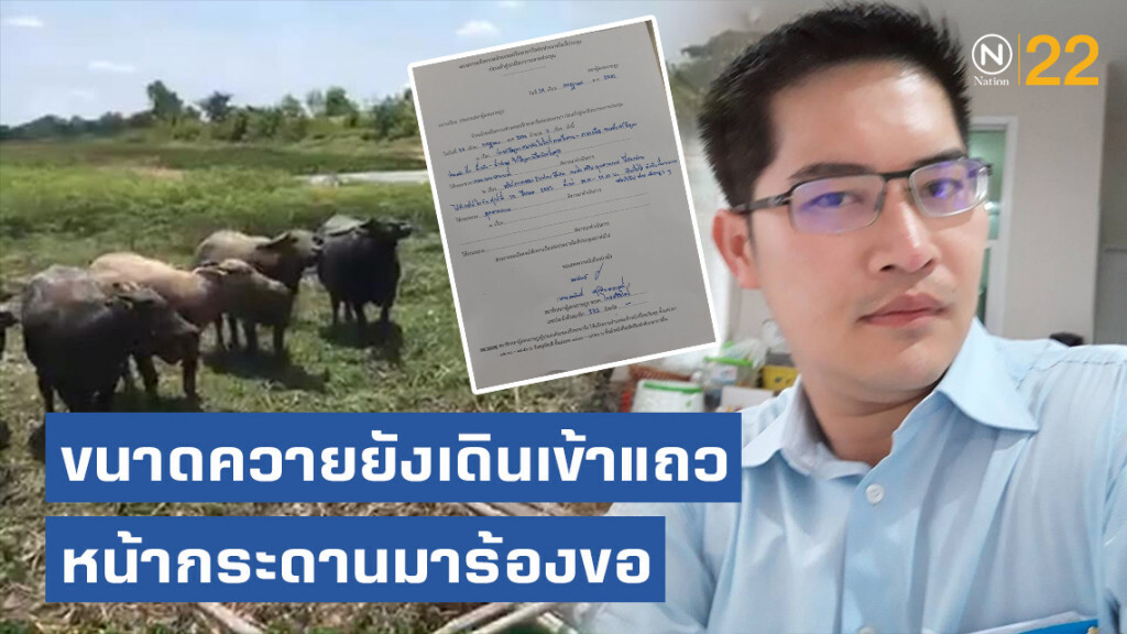 ส.ส.เต้ มงคลกิตติ์ เร่งเรื่องแล้งเข้าที่ประชุม! ชี้ ขนาดควายยังเดินเข้าแถวหน้ากระดานมาร้องขอ