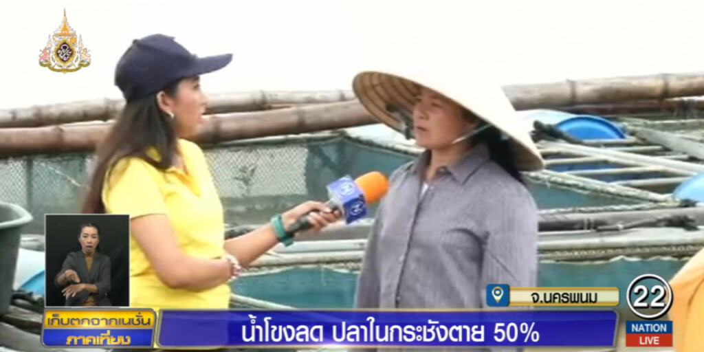 น้ำโขงลดต่อเนื่อง คนเลี้ยงปลากระชังเดือดร้อน ตายแล้วเกือบครึ่ง